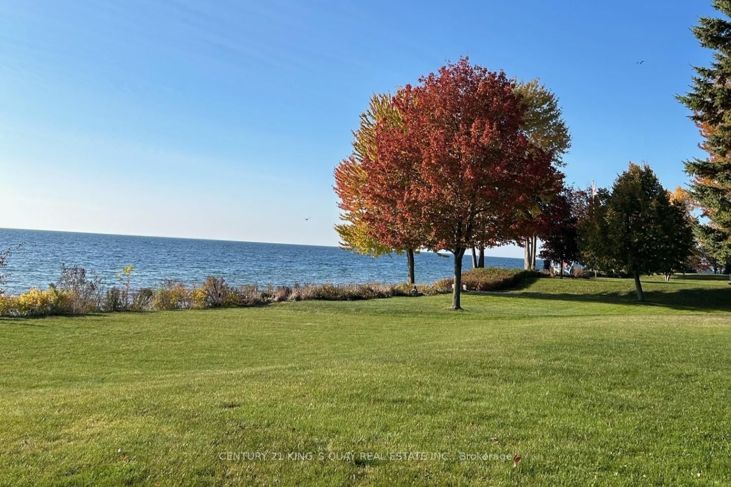 Listing Image 30