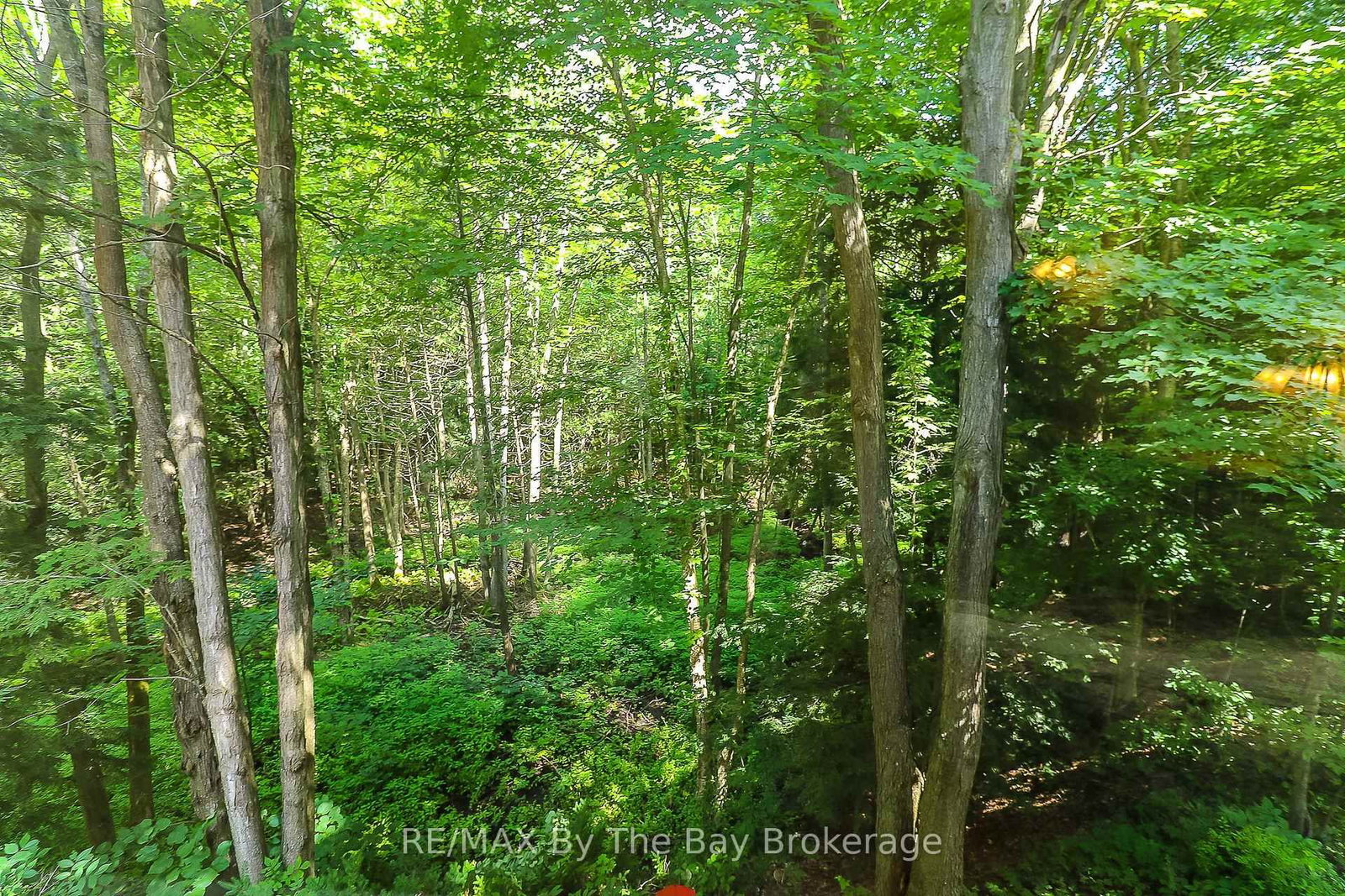 Listing Image 34