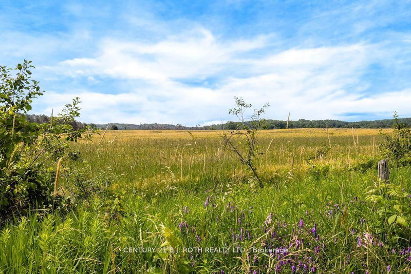 1499 Tay Point Rd, Penetanguishene, L9M 2C8 | Image 2