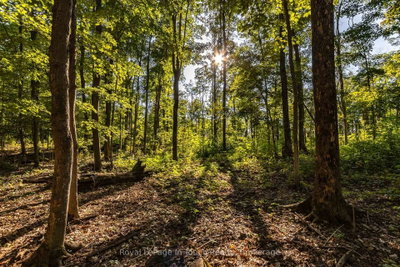 Lt 16&17 Nippissing Ridge Road • Tiny, ON photo 6
