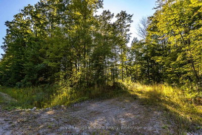 Lt 16&17 Nippissing Ridge Road • Tiny, ON photo 8