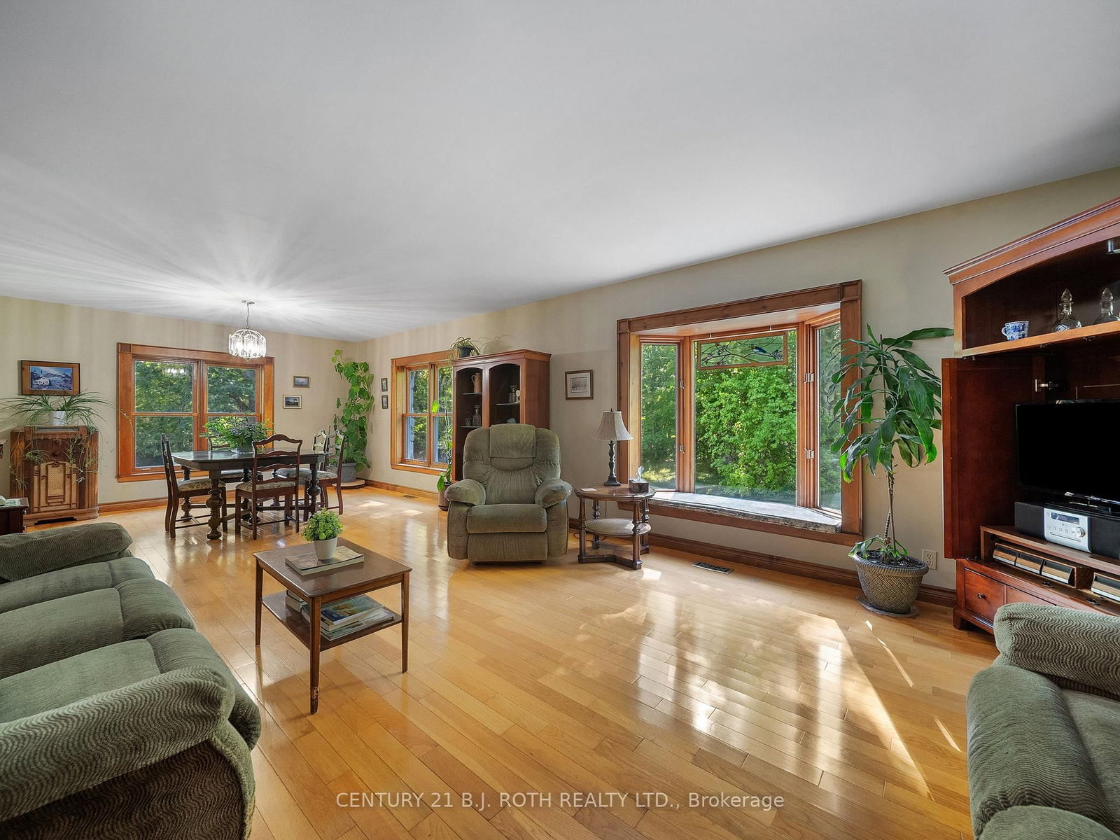 Listing Image 4
