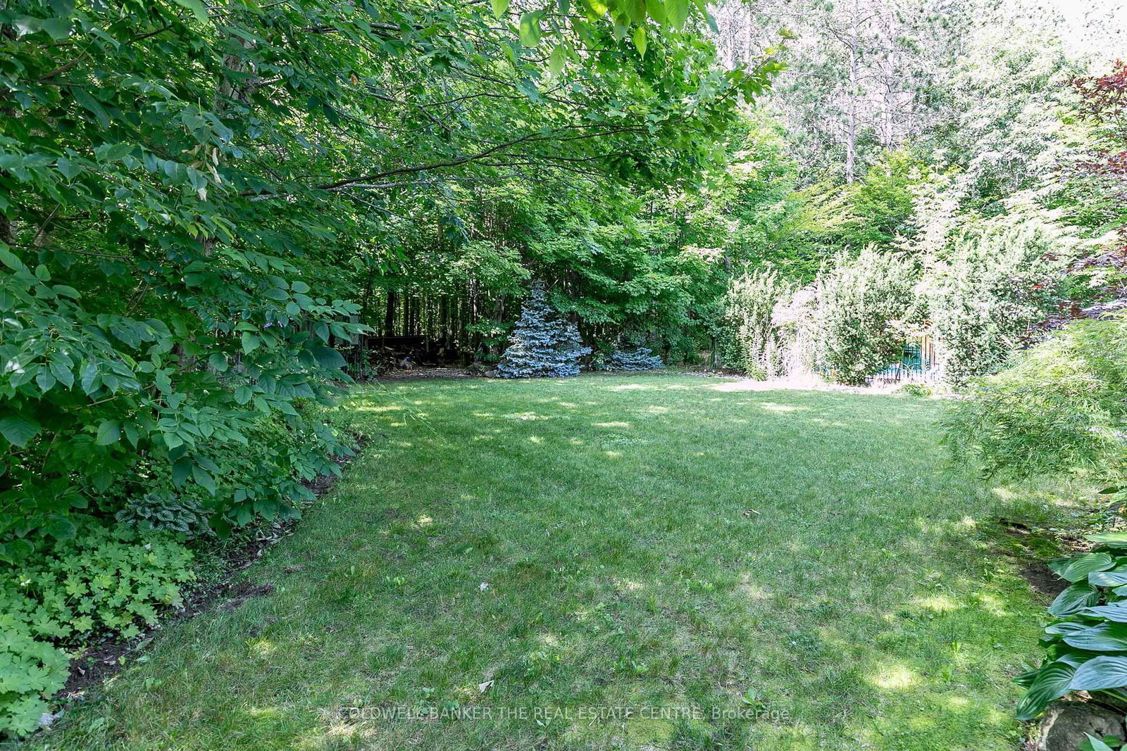 Listing Image 43