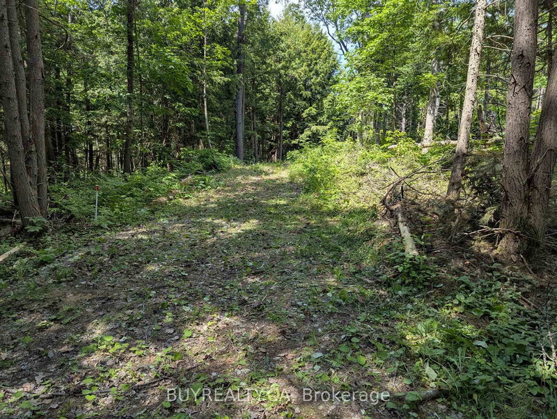 2318 Sherwood Forest Lane, Severn, L0K 1E0 | Image 2