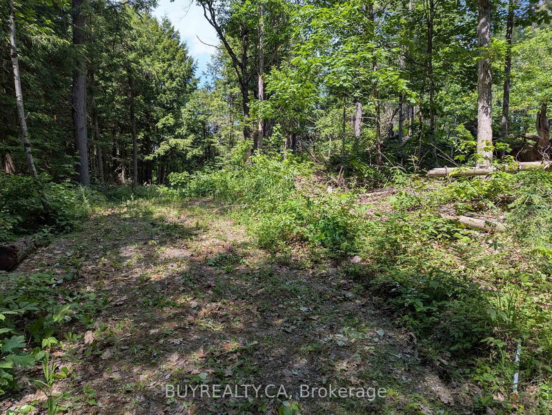 2318 Sherwood Forest Lane, Severn, L0K 1E0 | Image 3