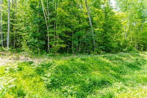 Lot 41 Explorers Landing, Tiny, L9M 0C1 | Image 2