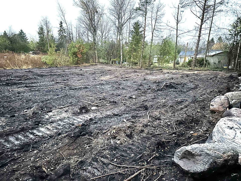 9880 Beachwood Rd, Collingwood, L9Y 3Z1 | Image 2