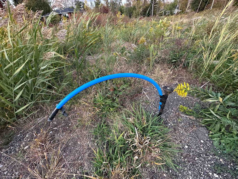 9880 Beachwood Rd, Collingwood, L9Y 3Z1 | Image 3