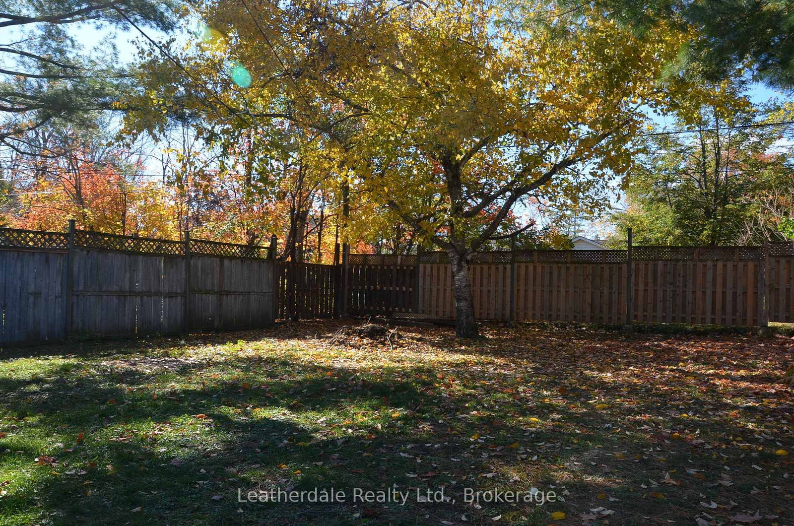 Listing Image 4