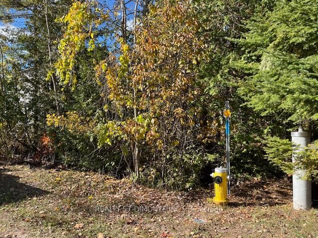 00000 River Rd E, Wasaga Beach, L9Z 2P3 | Image 2