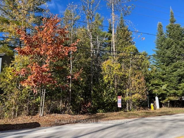 00000 River Rd E, Wasaga Beach, L9Z 2P3 | Image 3