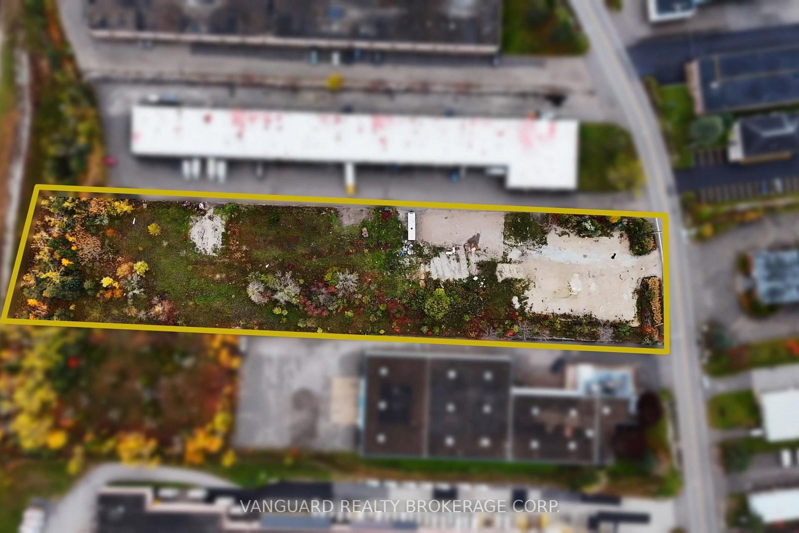 53 Morrow Road - Photo 4