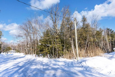 38 Lasalle Trail — photo 5