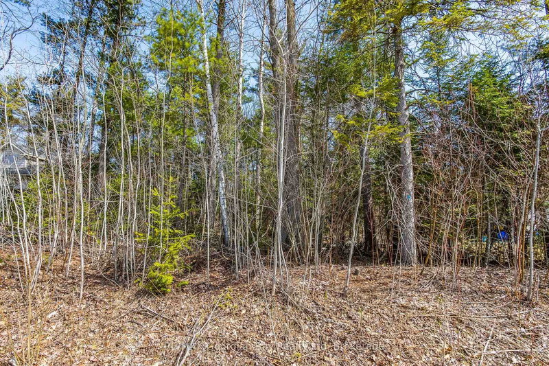 Lot 102 Emilio St, Tiny, L0L 2T0 | Image 3