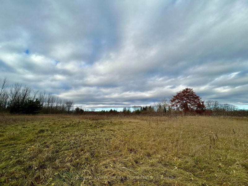 4056 Horseshoe Valley Rd W, Springwater, L9X 0Z6 | Image 2