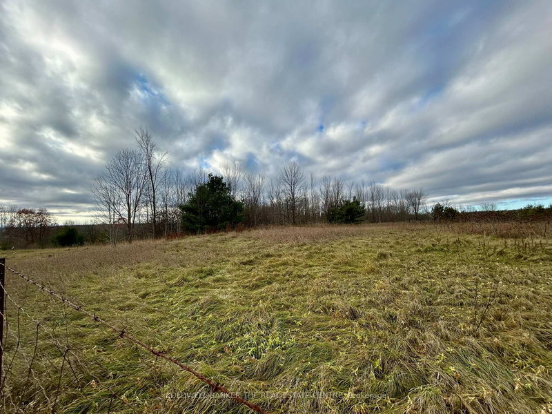 4056 Horseshoe Valley Rd W, Springwater, L9X 0Z6 | Image 3
