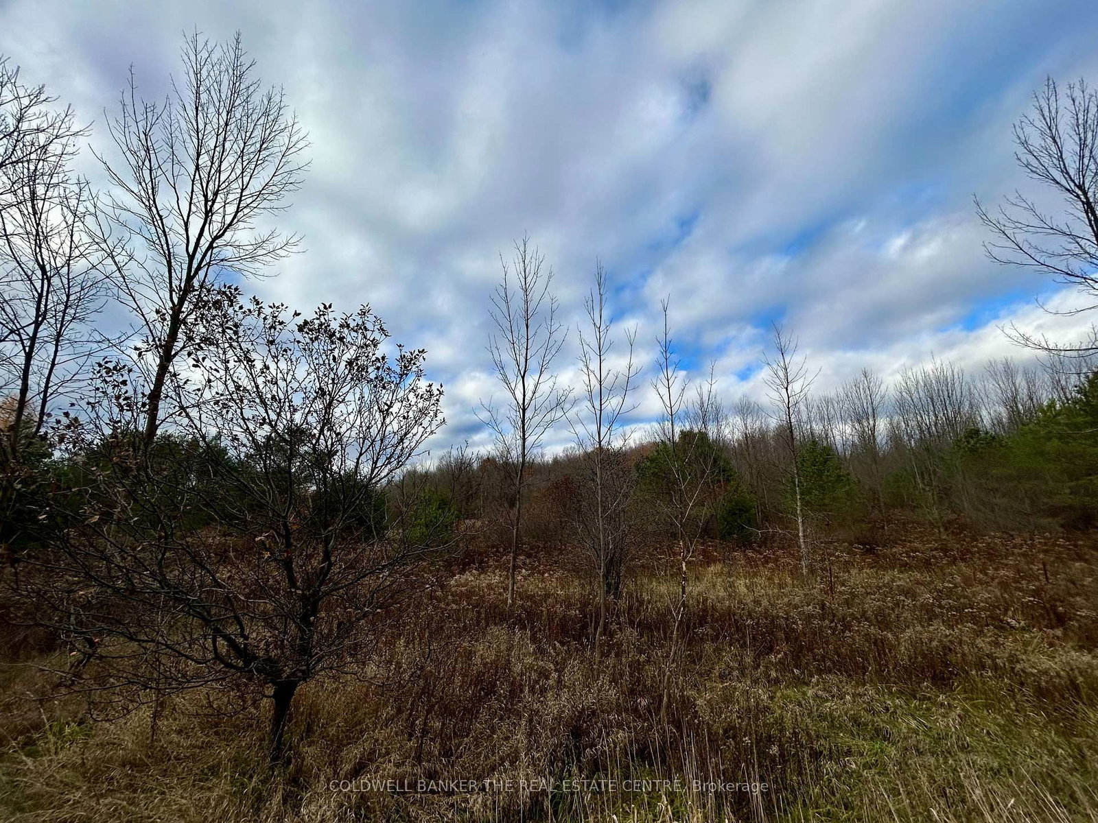 Vacant Land for sale at 4056 Horseshoe Valley Road, Springwater, Ontario, L9X 0Z6 - Rural Springwater - MLS: S12564578