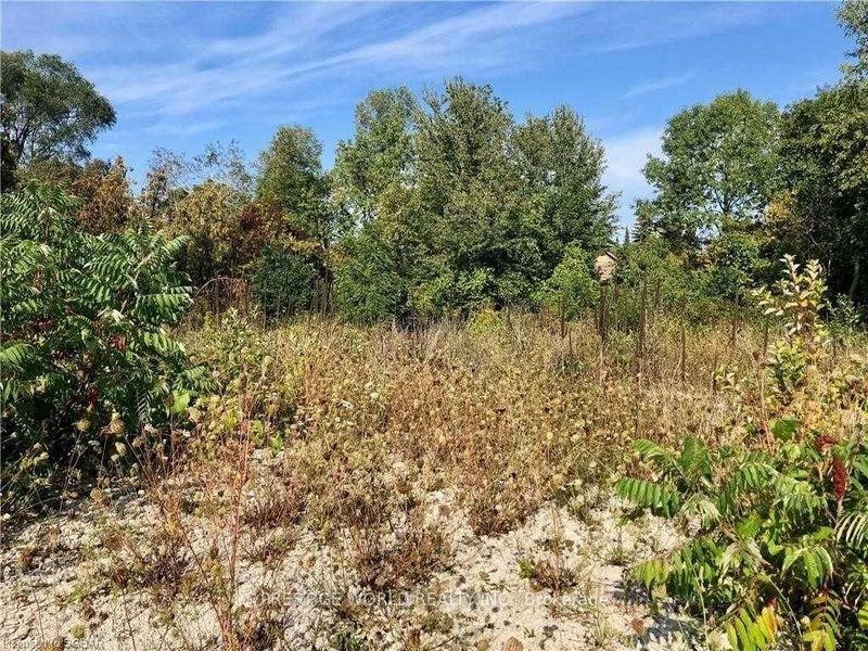 9776 BEACHWOOD Rd, Collingwood, L9Y 3Z1 | Image 2