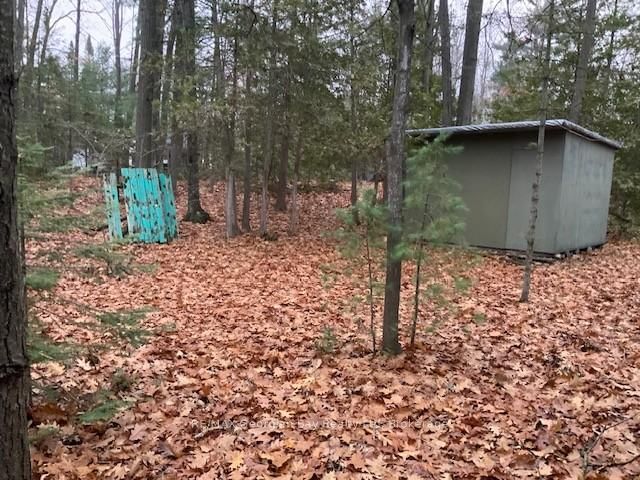 46 Oakwood Ave NW, Tiny, L9M 0J2 | Image 3