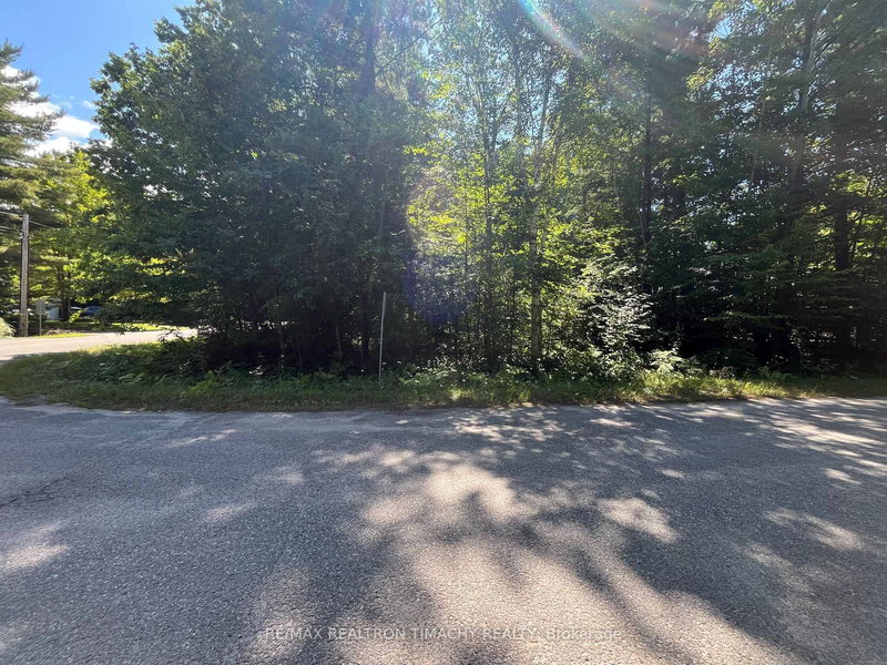 Lot 89 Vincent Circ, Tiny, L0L 2T0 | Image 2