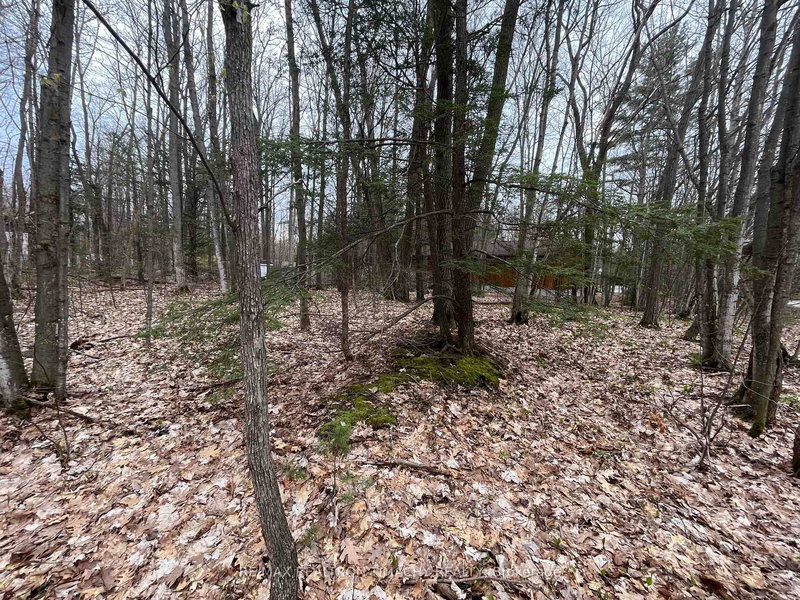 Lot 705 Wolfe Tr, Tiny, L9M 0H7 | Image 2