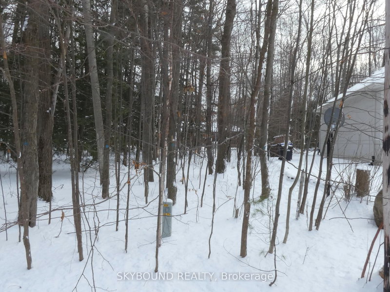 LOT 577 FOREST Circ, Tiny, L9M 1R3 | Image 3