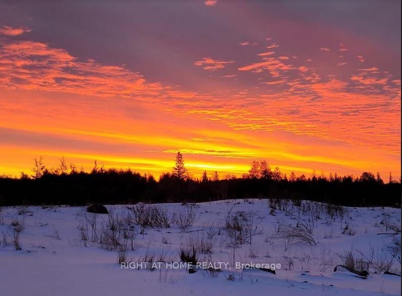 53 Scarlett Line, Oro-Medonte, L0L 1V0 | Image 2