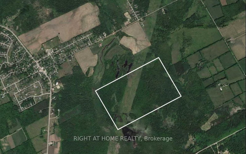 53 Scarlett Line, Oro-Medonte, L0L 1V0 | Image 3