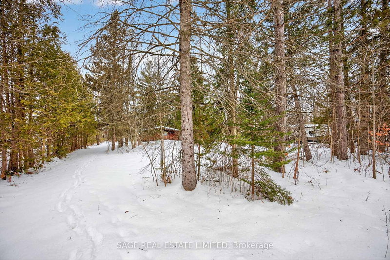 7856 Birch Dr, Ramara, L0K 2B0 | Image 2