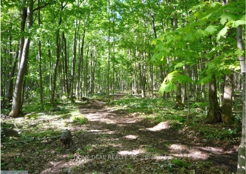 111 Nippissing Ridge Rd, Tiny, L9M 0H6 | Image 2