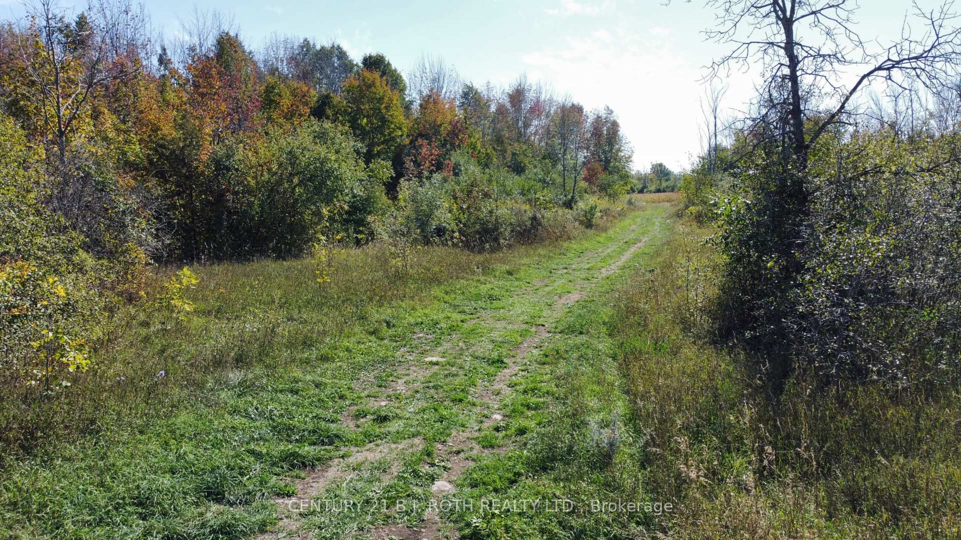 1273 Ramara Rd 47 Road