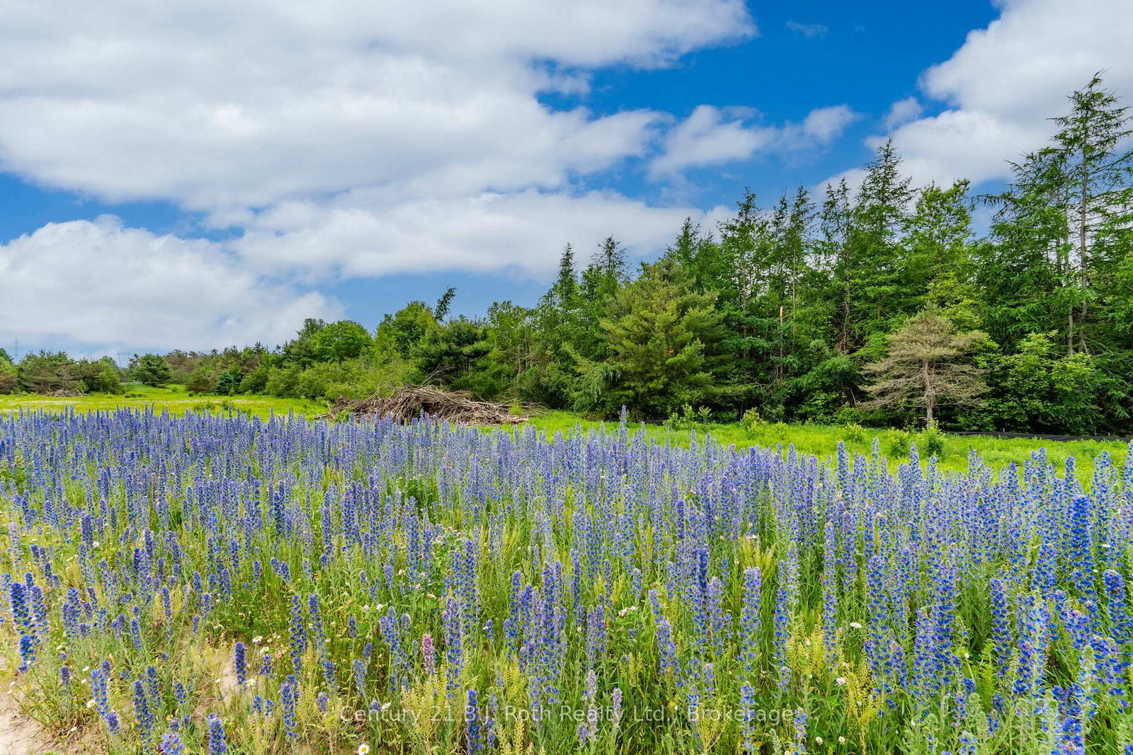 Detached House for sale at 14 Greenlaw Court, Springwater, Ontario, L0L 1V0 - Rural Springwater - MLS: S12711742