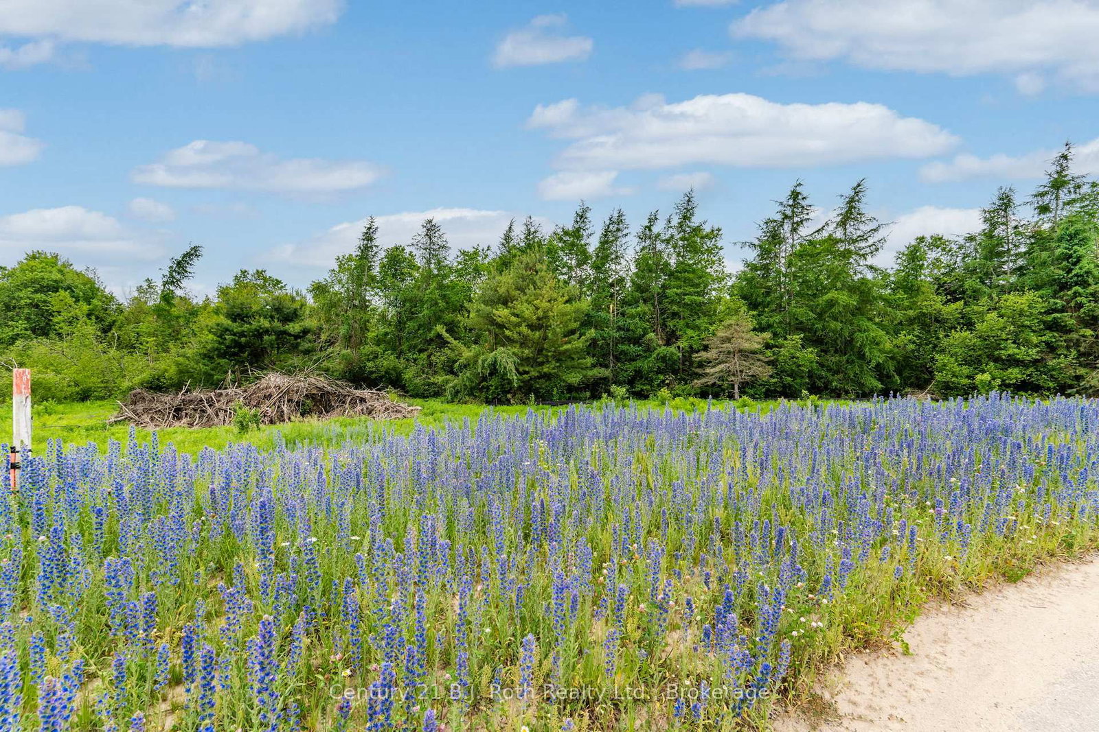 Detached House for sale at 14 Greenlaw Court, Springwater, Ontario, L0L 1V0 - Rural Springwater - MLS: S12711742