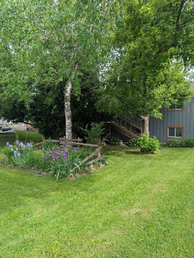 1229 County Road 124