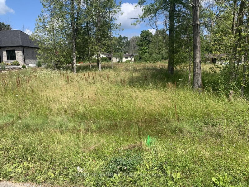 0 Symond Ave, Oro-Medonte, L0L 2E0 | Image 2