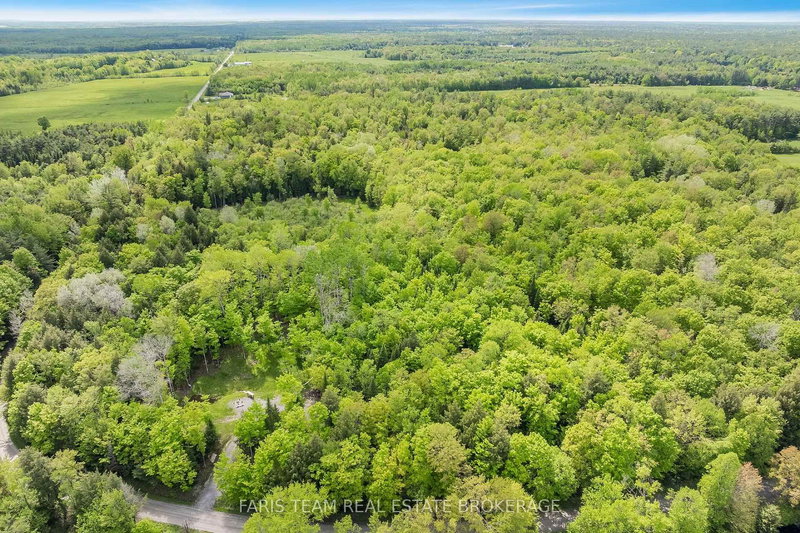 7950 Kings River Rd, Ramara, L0K 2B0 | Image 2