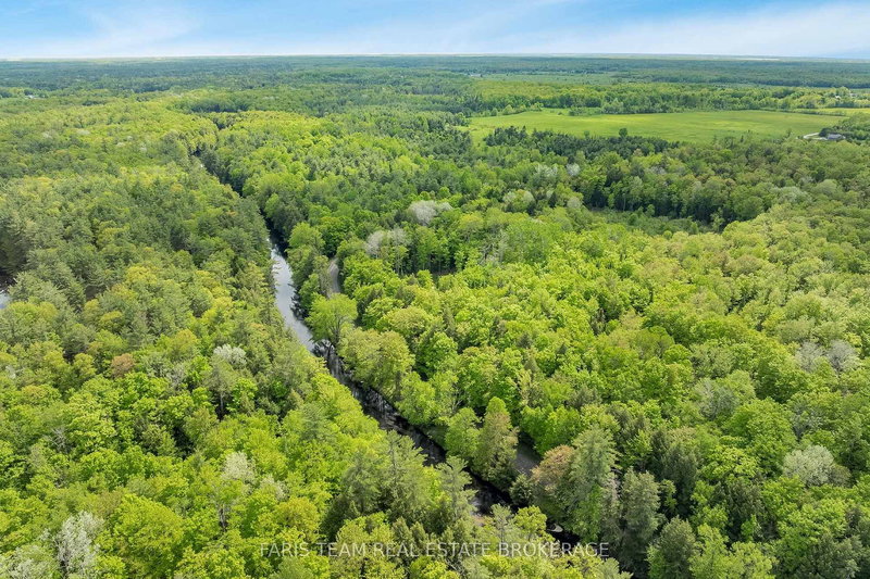 7950 Kings River Rd, Ramara, L0K 2B0 | Image 3