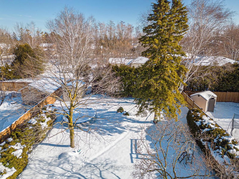 53 ALICE St, Collingwood, L9Y 4E9 | Image 3