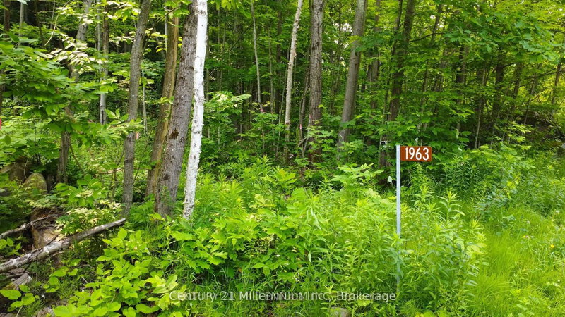 Lot 52 Tiny Beaches Rd N, Tiny, L9M 0H8 | Image 2