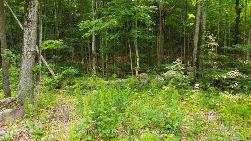 Lot 52 Tiny Beaches Rd N, Tiny, L9M 0H8 | Image 3