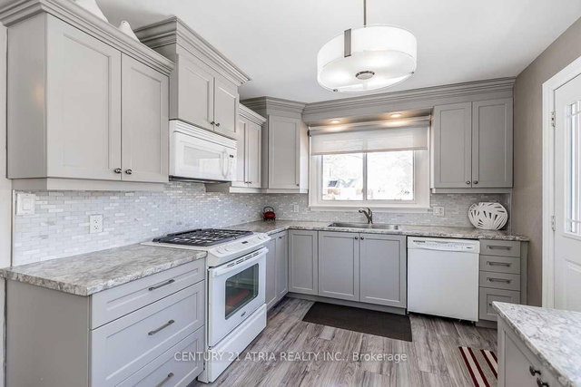 Main Floor - 97 Shirley Avenue