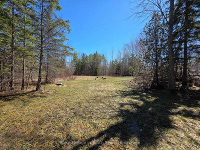 57 Bass Bay Dr | Tay | Image