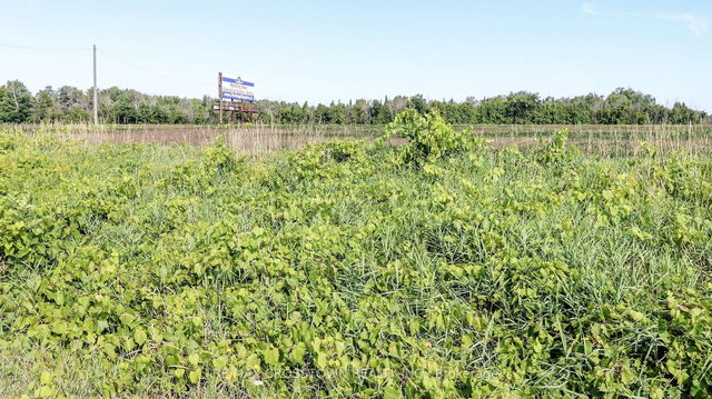 Pt Lt 20 Concession 7 Road