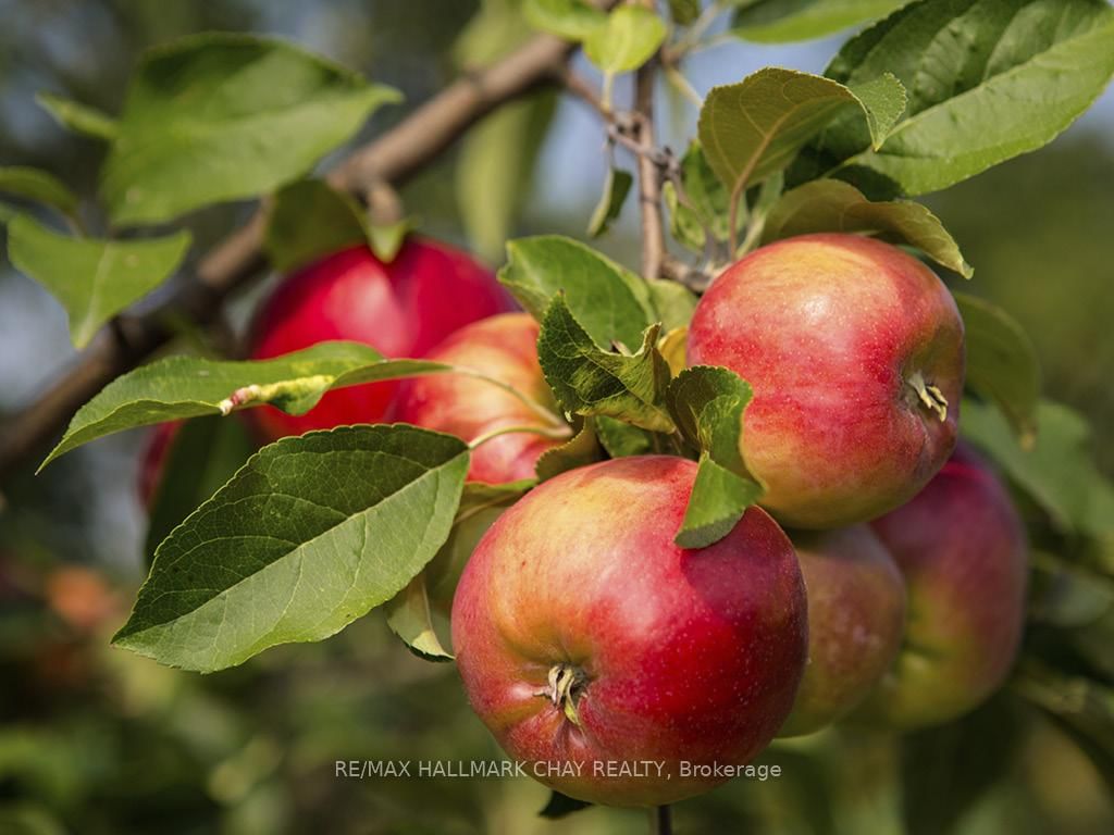 Listing Image 16