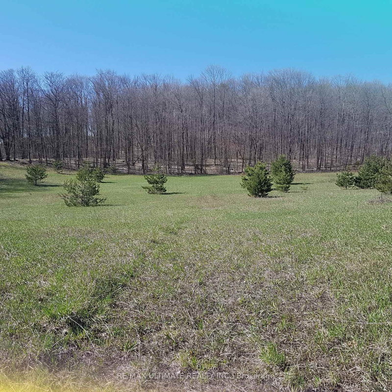 1024 Old Barrie Rd, Oro-Medonte, Ontario