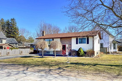 56 Lorne Ave | Collingwood | Image