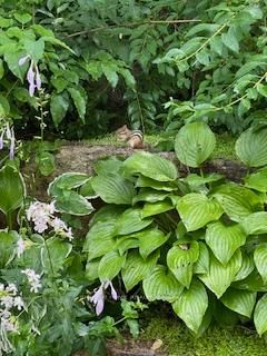 Townhouse for sale at 23-52 Adelade Street, Barrie, Ontario, L4N 3T5 - Allandale - MLS: S12915380