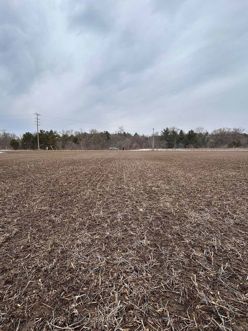 PT LT 26 CON 1 NOTTAWASAGA PT 2, R744, Clearview, L0M 1S0 | Image 3