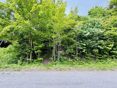 554 Barnes Ave | Tay | Image