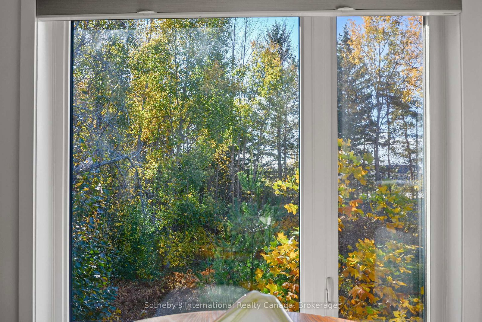 331 MARINERS Way • Collingwood, ON photo 13